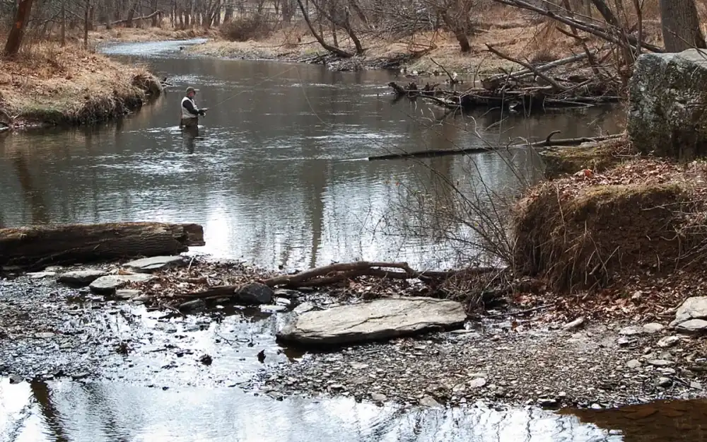 Gunpowder Falls State Park - Joppatowne, MD